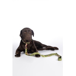 Correa de adiestramiento para perros Qooper de nailon HKM