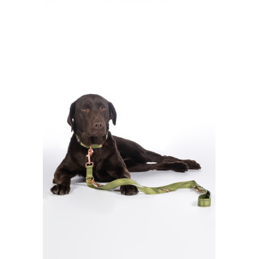 Correa de adiestramiento para perros Qooper de nailon HKM