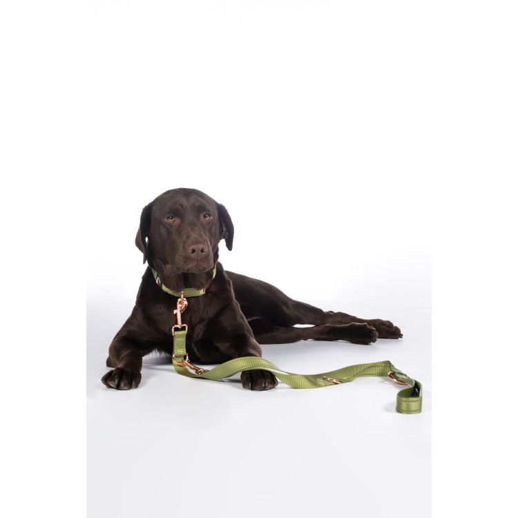 Correa de adiestramiento para perros Qooper de nailon HKM