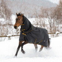 new Negro / dorado new Negro / dorado