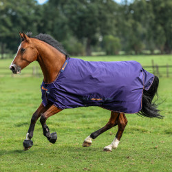 Couverture Bucas Therapy Turnout Light 50g Azúl marino / naranja Couverture Bucas Therapy Turnout Light 50g Azúl marino / naranja