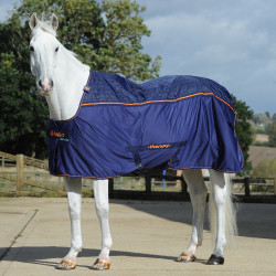 new Azúl marino / naranja