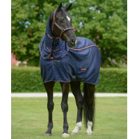 new Azúl marino / naranja