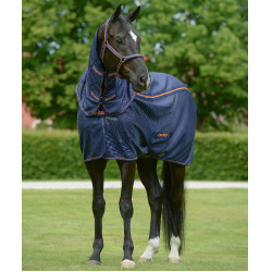 new Azúl marino / naranja