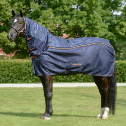 new Azúl marino / naranja