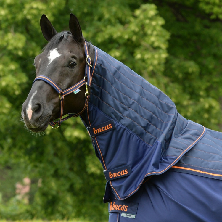 Cuello Bucas Therapy Cooler Neck