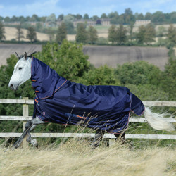 Cuello Bucas Therapy Turnout Cuello Bucas Therapy Turnout