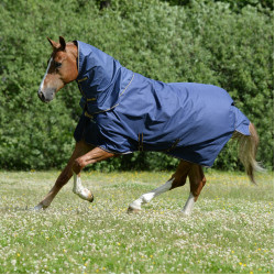 new Azúl marino / oro new Azúl marino / oro