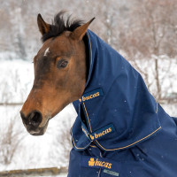 new Azúl marino / oro