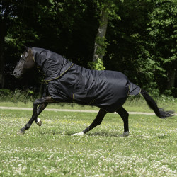 new Negro / dorado new Negro / dorado