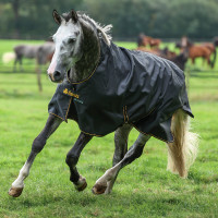 new Negro / dorado new Negro / dorado