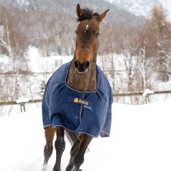 Couverture Bucas Irish Turnout Medium 300g Azúl marino / oro