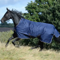 new Azúl marino / oro