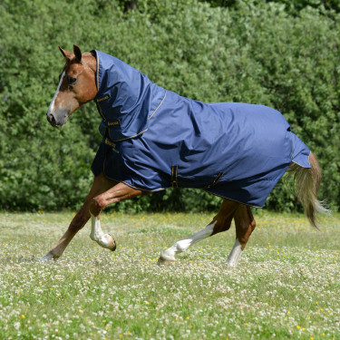 new Azúl marino / oro new Azúl marino / oro