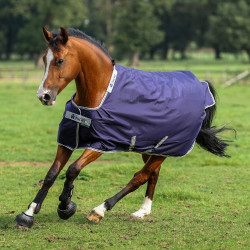 Couverture Bucas Atlantic Turnout 200g Azul marino Couverture Bucas Atlantic Turnout 200g Azul marino