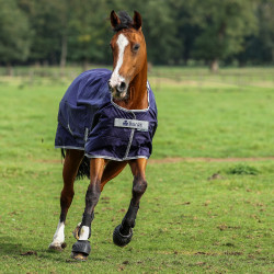 Couverture Bucas Atlantic Turnout 200g Azul marino Couverture Bucas Atlantic Turnout 200g Azul marino