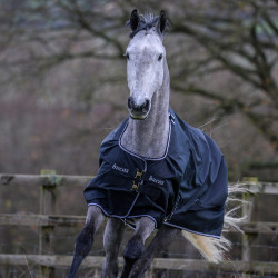 new Negro / blanco new Negro / blanco