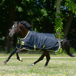 Manta Bucas Oasis Turnout 200g con cubrecuello Gris oscuro / lima Manta Bucas Oasis Turnout 200g con cubrecuello Gris oscuro / lima