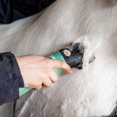 Esquiladora LISTER STAR