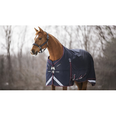Manta de exterior LeMieux Kudos 350 g Manta de exterior LeMieux Kudos 350 g