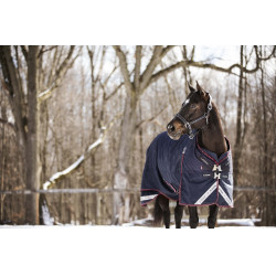 Azul marino Azul marino