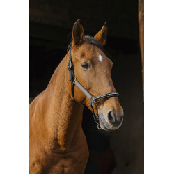 Cabezada de nailon Equithème Domino