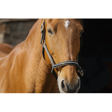 Cabezada de nailon Equithème Domino Cabezada de nailon Equithème Domino