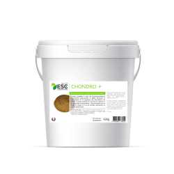 Chondro + ESC Laboratorio