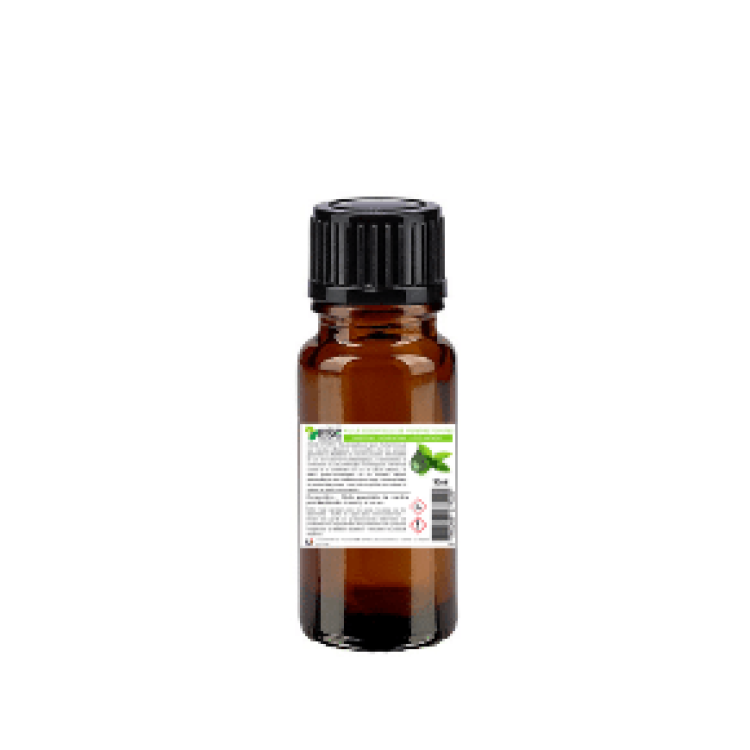 Aceite esencial de Menta Piperita Caballo ESC Laboratorio Aceite esencial de Menta Piperita Caballo ESC Laboratorio