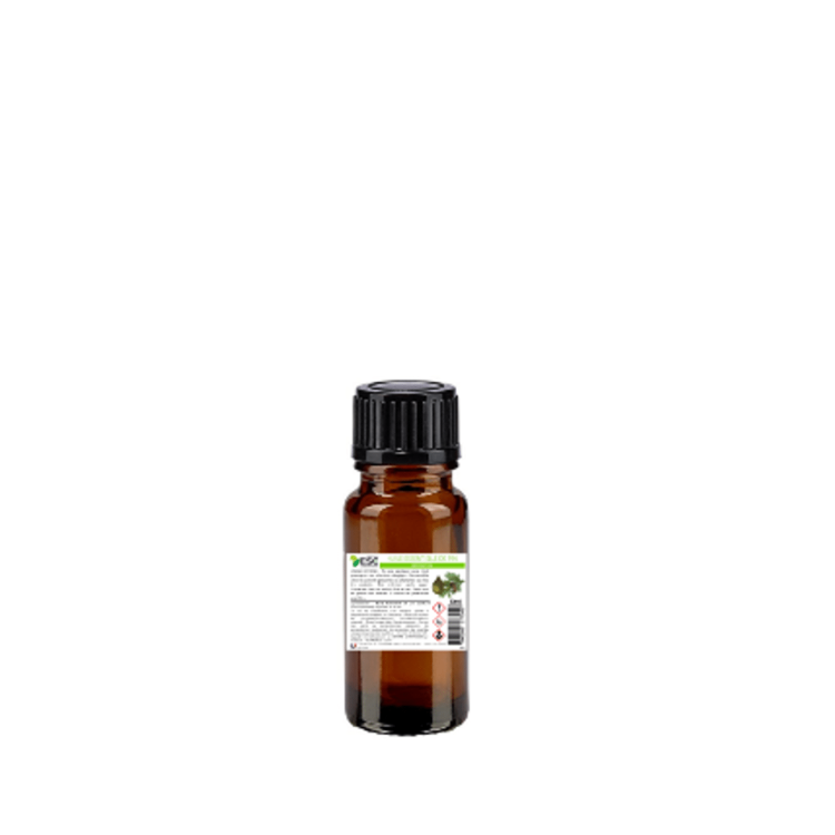 Aceite esencial de Pino Silvestre Caballo ESC Laboratorio Aceite esencial de Pino Silvestre Caballo ESC Laboratorio