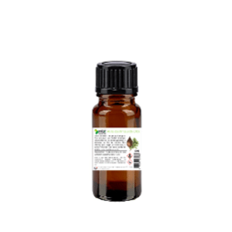 Aceite esencial de Cade Caballo ESC Laboratorio Aceite esencial de Cade Caballo ESC Laboratorio