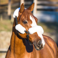 Conjunto de fundas para cabezada de campo Blanco