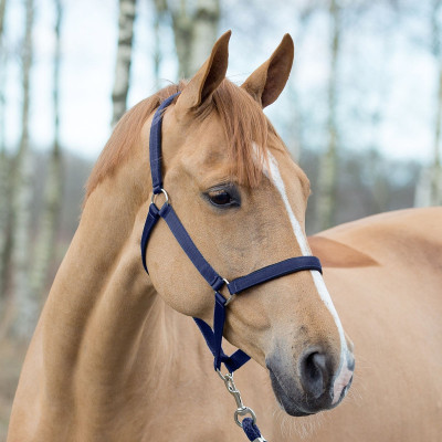 Cabezada Horze Supreme Azul