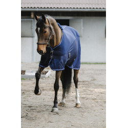 Camisa Equithème Classic 3D mesh