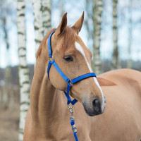 Cabezada Horze Supreme Azul real