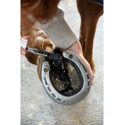 Recargar ALODIS CARE Fourchette Clean