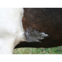 ANIMADERM Natjely Bálsamo ANIMADERM Natjely Bálsamo