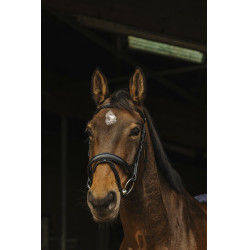 Bridon Norton Pro Dark Bridon Norton Pro Dark