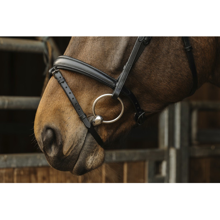 Bridon Norton Pro Dark Bridon Norton Pro Dark
