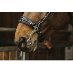 Cabezada de montar NORTON PRO Hackamore Cabezada de montar NORTON PRO Hackamore