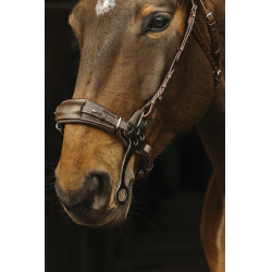 Cabezada de montar NORTON PRO Hackamore Cabezada de montar NORTON PRO Hackamore
