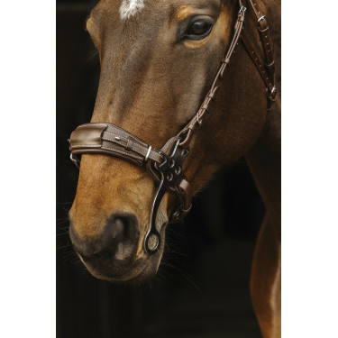 Cabezada de montar NORTON PRO Hackamore Cabezada de montar NORTON PRO Hackamore