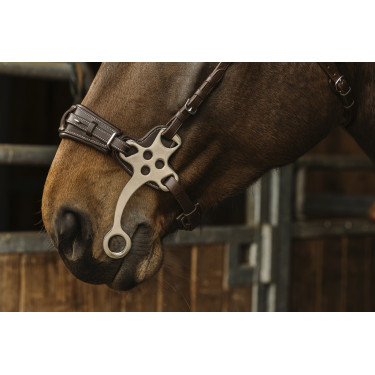 Cabezada de montar NORTON PRO Hackamore Cabezada de montar NORTON PRO Hackamore