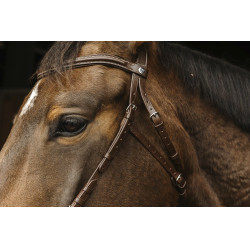 Cabezada de montar NORTON PRO Hackamore Cabezada de montar NORTON PRO Hackamore