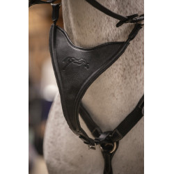 Flecha de martingala Pénélope Bip Lisa Elástica Negro Flecha de martingala Pénélope Bip Lisa Elástica Negro