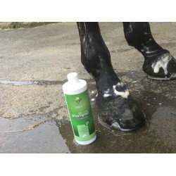 Champú Animaderm Tea Tree