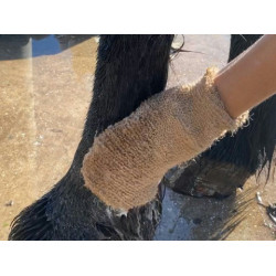 Champú Animaderm Tea Tree