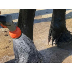 Champú Animaderm Tea Tree