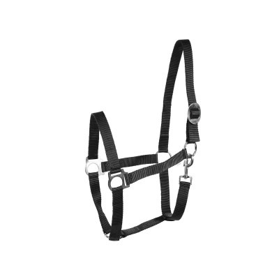 Cabezada Basic Horze Negro