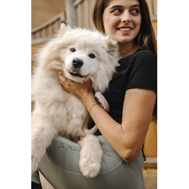 Pantalón Equithème Flora con culera de silicona Verde salvia Pantalón Equithème Flora con culera de silicona Verde salvia